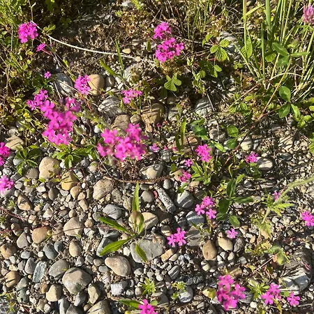 Apartamento Landhof Naegele's Vom Berg